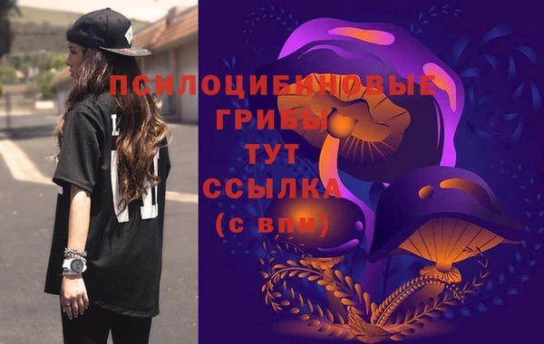гашик Волосово