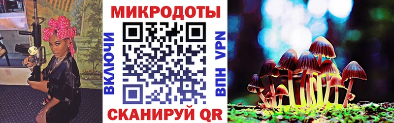 Галлюциногенные грибы Magic Shrooms  shop какой сайт  Новоржев 